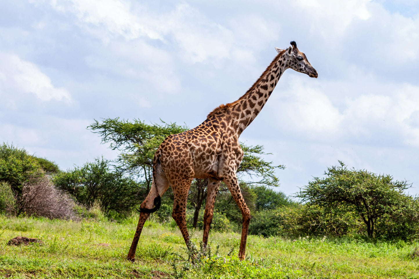 Magical Kenya Safari 7 Days/ 06 Nights