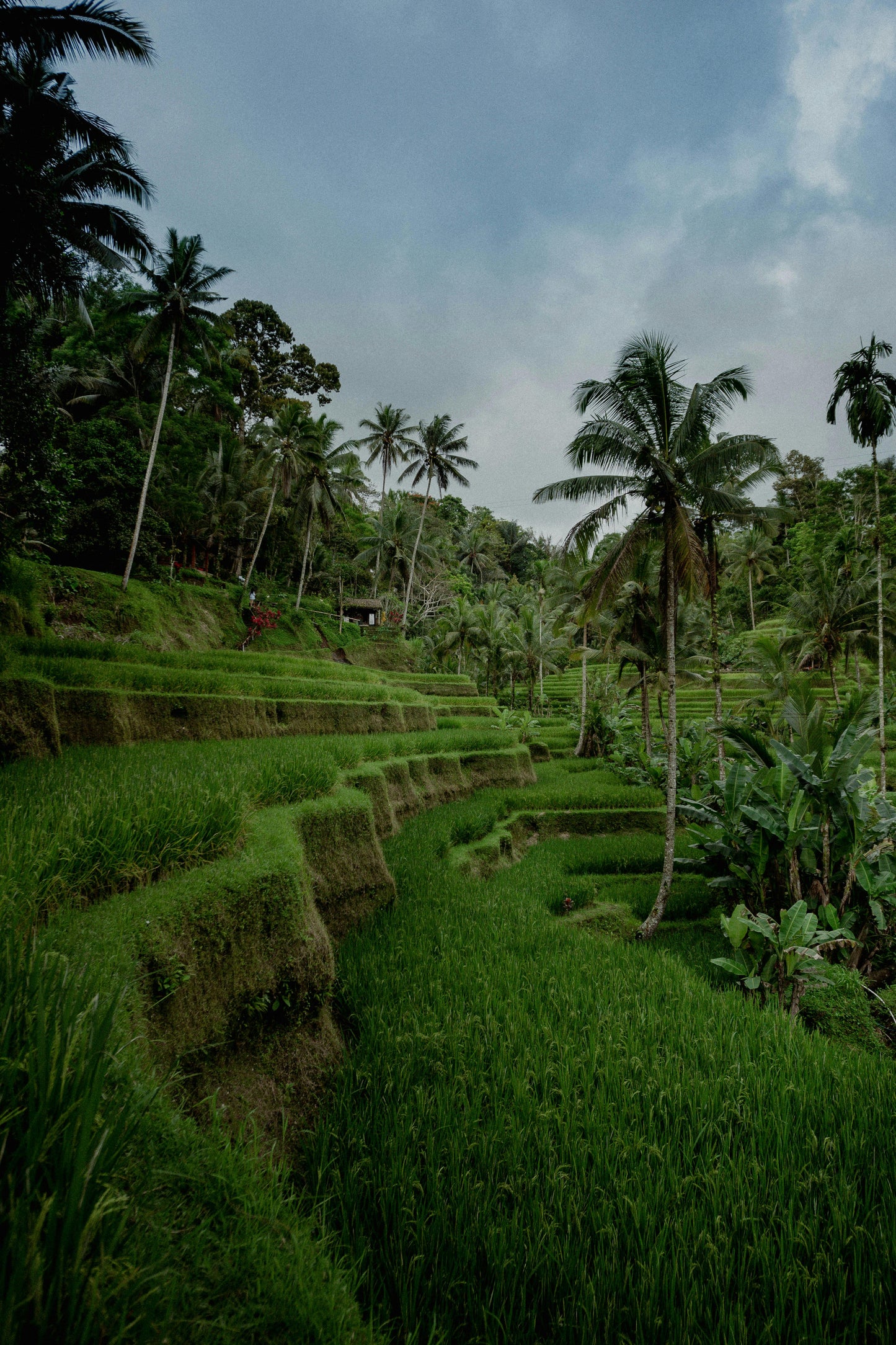 Bali Honeymoon Offer - 6 Nights