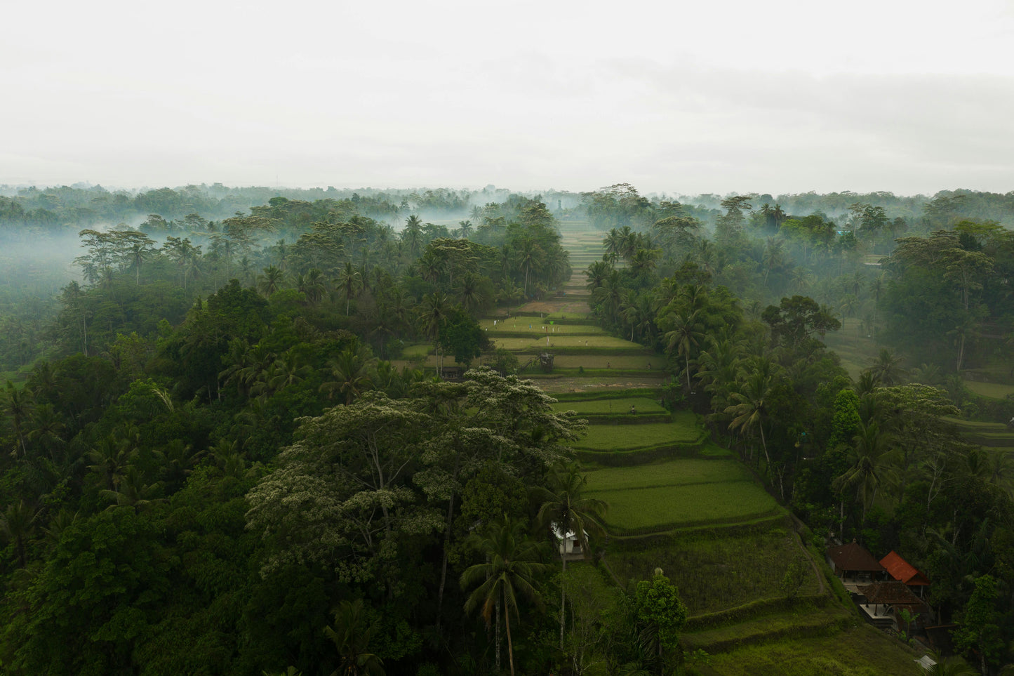Bali Honeymoon Offer - 6 Nights