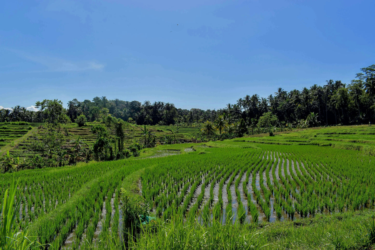 Bali Honeymoon Offer - 6 Nights