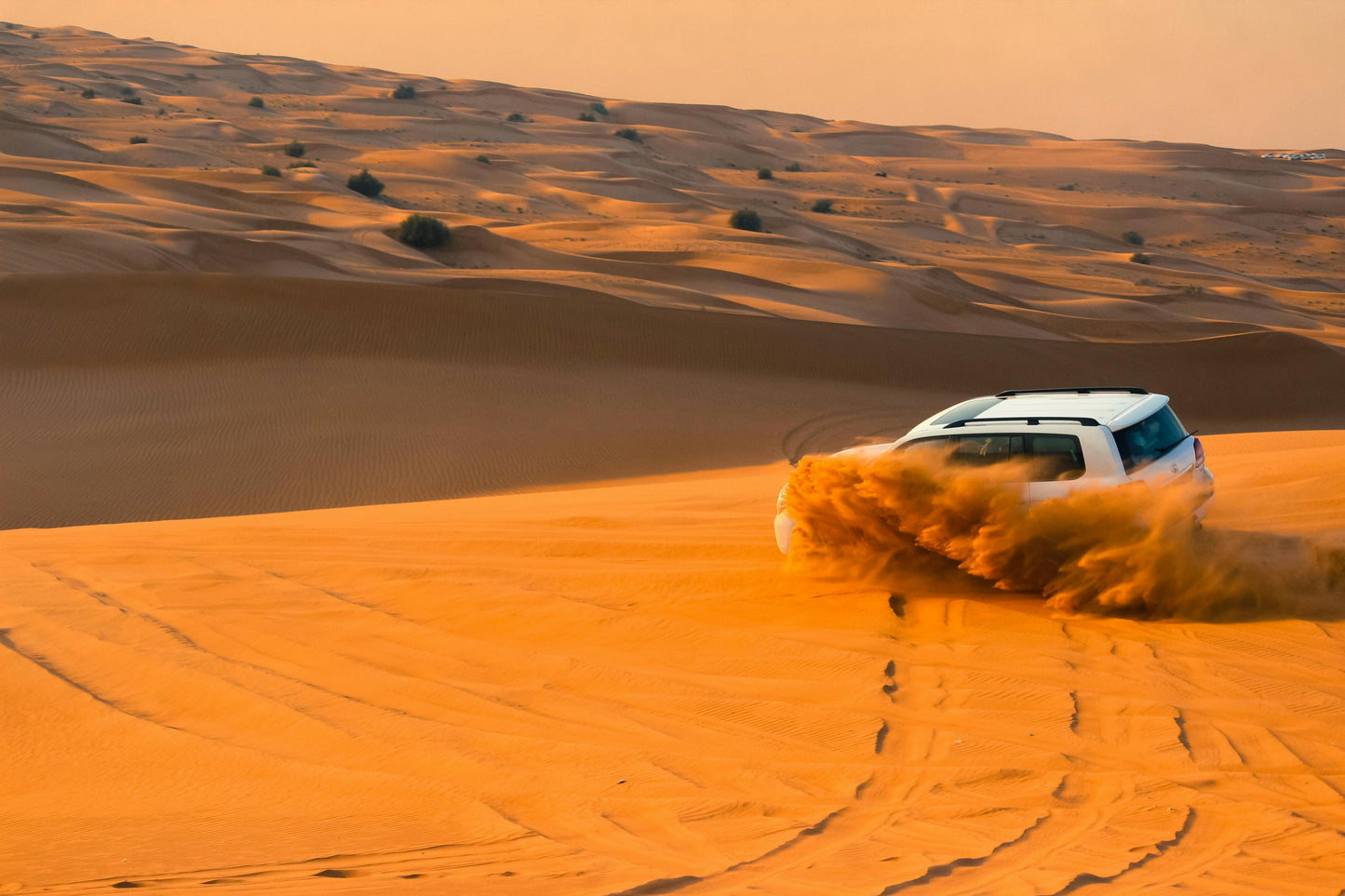 Dubai Desert Safari with BBQ Dinner
