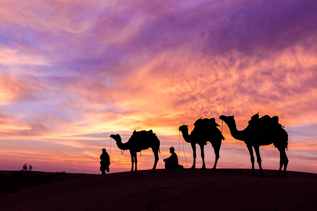 Dubai Desert Safari with BBQ Dinner