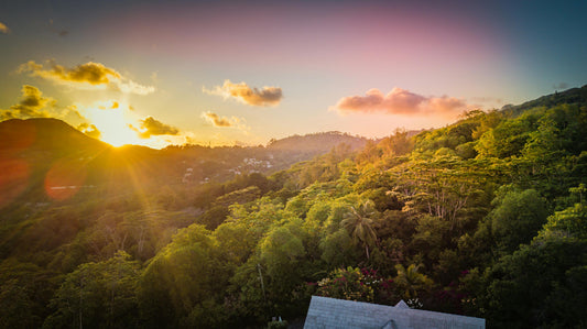 Seychelles Escapes - Savoy Resort & spa 5* - 4 Nights