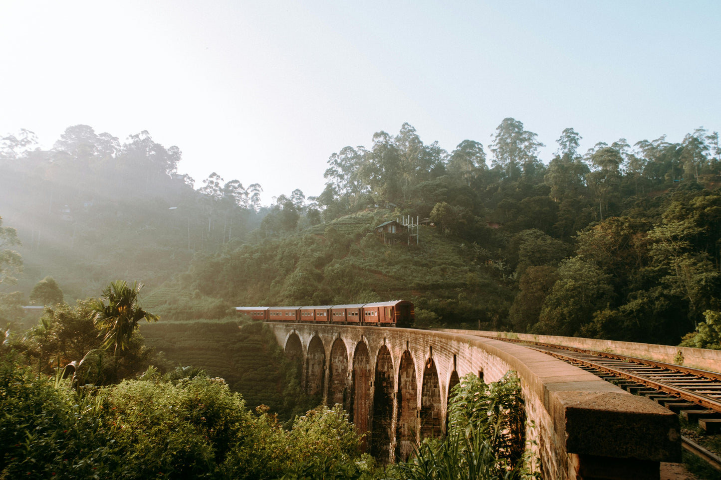 Discover Siri Lanka - 5 Day / 4 Nights