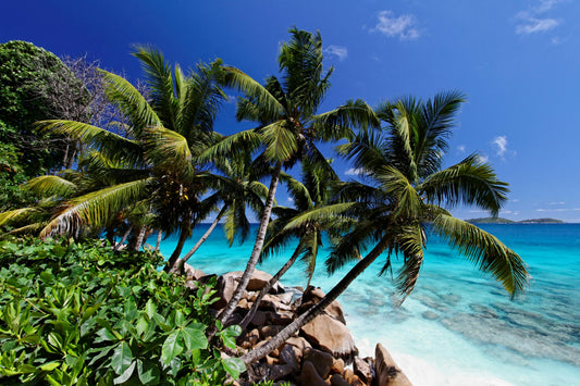 Seychelles Honeymooners Package - Constance Ephelia Resort & Spa - 5 Nights