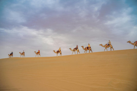 Dubai Desert Safari with BBQ Dinner