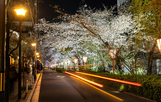 Autumn & Cherry Blossom Japan Package - 8 Day / 7 Nights