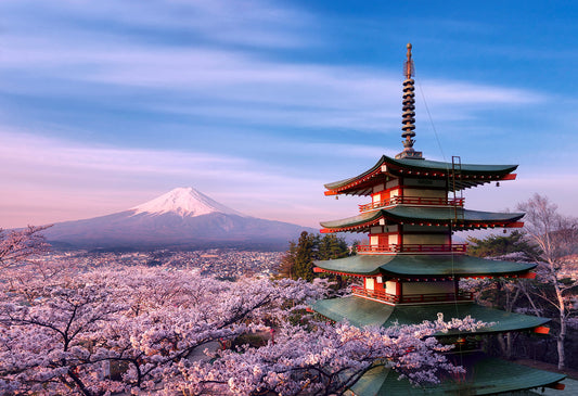 Autumn & Cherry Blossom Japan Package - 8 Day / 7 Nights