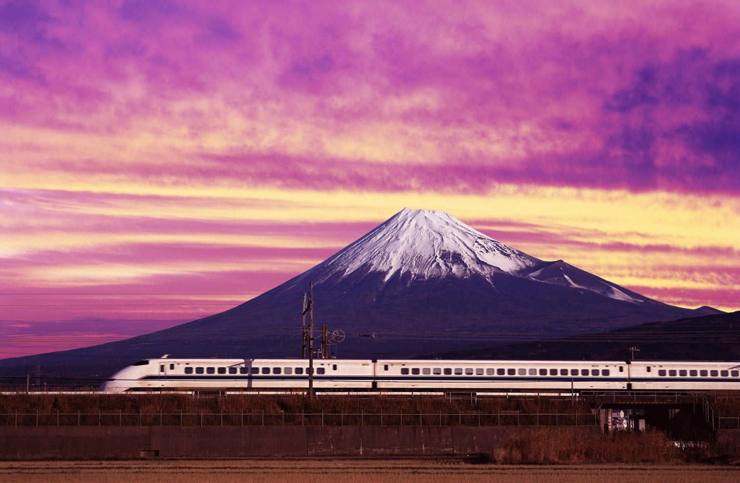 Autumn & Cherry Blossom Japan Package - 8 Day / 7 Nights