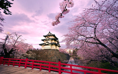 Autumn & Cherry Blossom Japan Package - 8 Day / 7 Nights