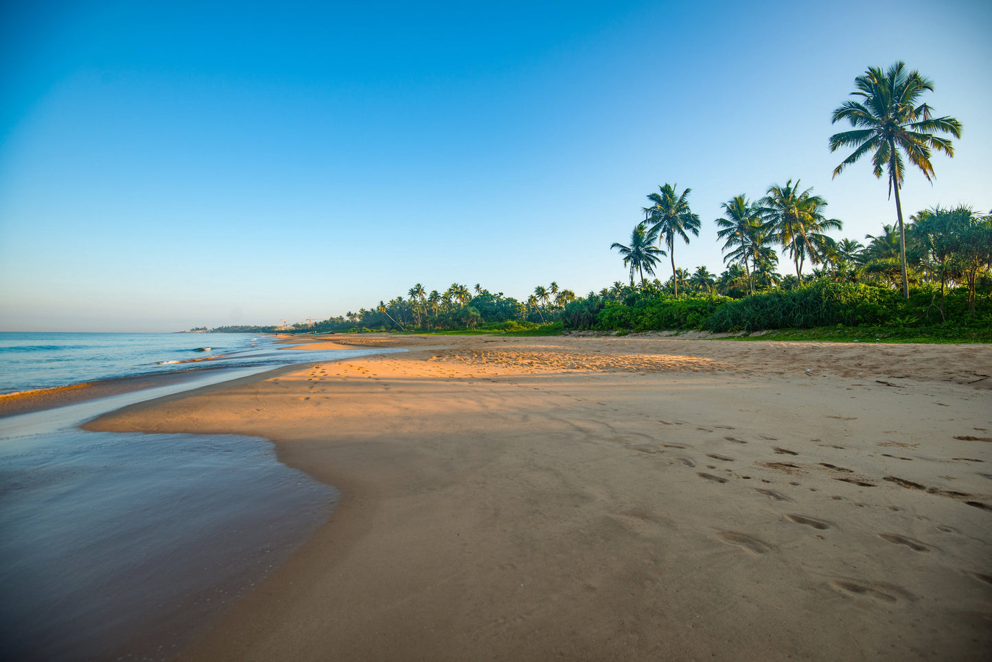 Discover Siri Lanka - 5 Day / 4 Nights