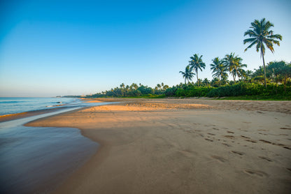 Discover Siri Lanka - 5 Day / 4 Nights