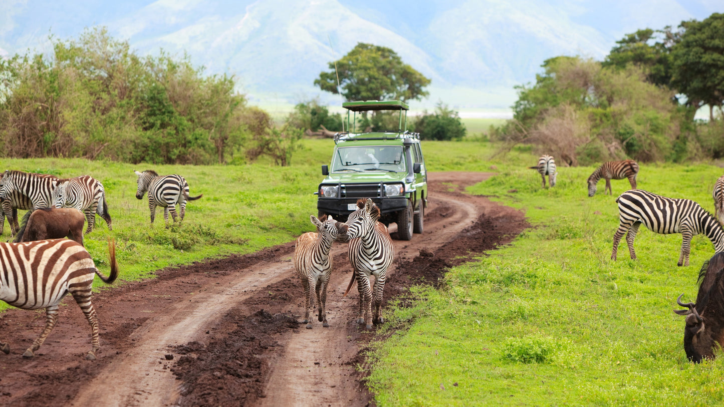 Best of Tanzania Safari 6 Days / 05 Nights