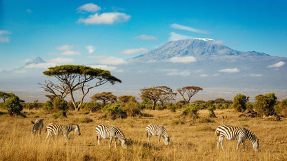 Magical Kenya Safari 7 Days/ 06 Nights