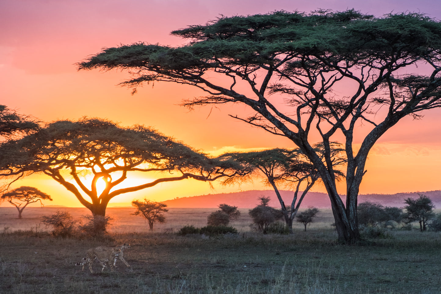 Magical Kenya Safari 7 Days/ 06 Nights