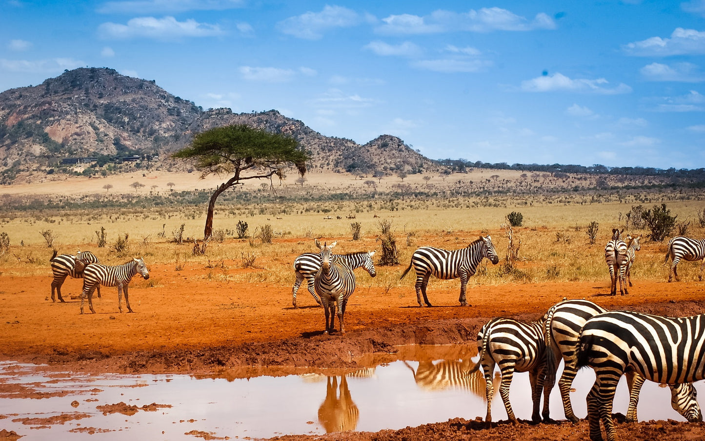 Magical Kenya Safari 7 Days/ 06 Nights