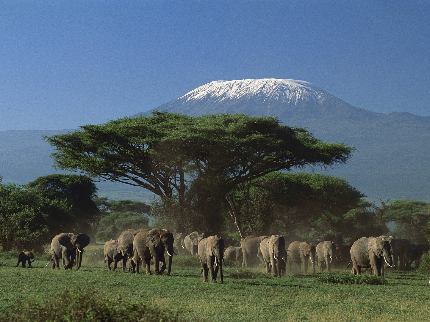 Magical Kenya Safari 7 Days/ 06 Nights