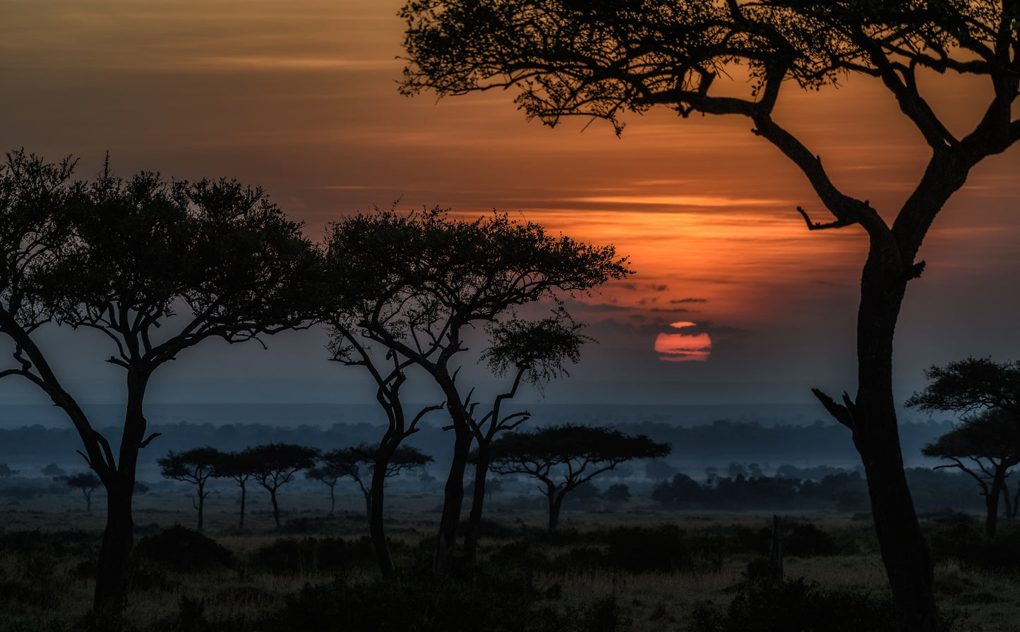 Magical Kenya Safari 7 Days/ 06 Nights